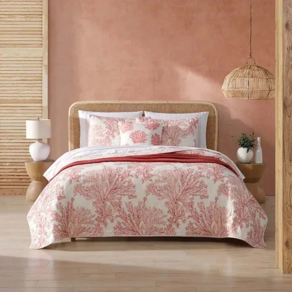 Coral Garden Bright Orange 2-Piece Twin Cotton Quilt-Sham Set